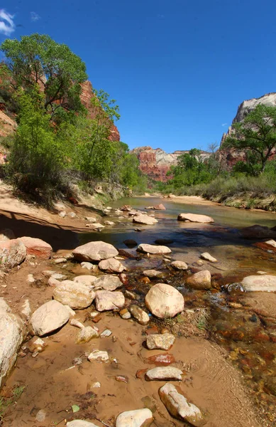 Virgin River Flowing Mountains Zion National Park Utah — Stock Photo, Image