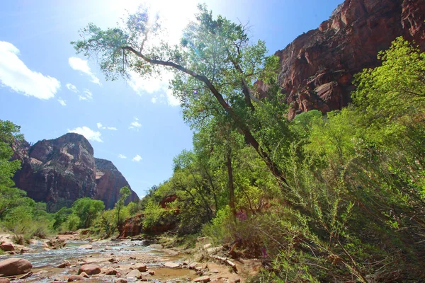 Rio Virgin Fluindo Entre Montanhas Parque Nacional Zion Utah — Fotografia de Stock