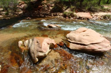 Utah, Zion Ulusal Parkı 'ndaki dağların arasından akan Virgin Nehri' ndeki kayalar..