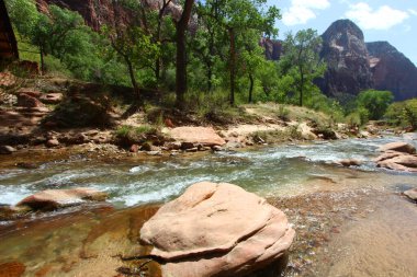 Utah 'taki Zion Ulusal Parkı' nda dağların arasından akan bakire nehir..