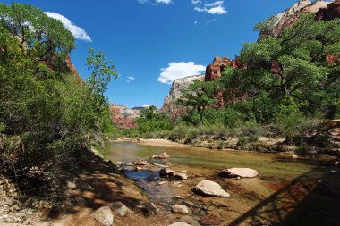Utah 'taki Zion Ulusal Parkı' nda dağların arasından akan bakire nehir..
