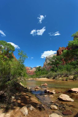 Utah 'taki Zion Ulusal Parkı' nda dağların arasından akan bakire nehir..