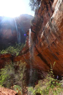 Utah, Zion Ulusal Parkı 'nda Şelale