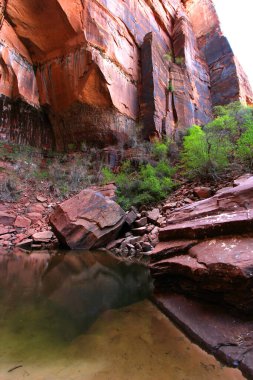 Utah, Zion Ulusal Parkı 'nda Zümrüt Havuz Yürüyüşü