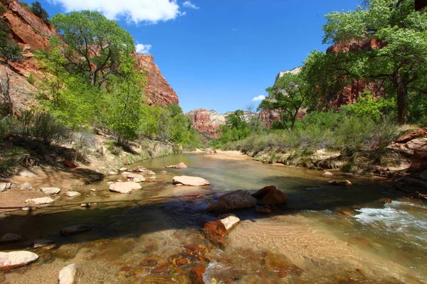 Virgin River Flowing Mountains Zion National Park Utah — Stock Photo, Image