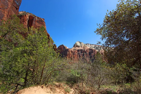 Chaînes Montagnes Dans Parc National Zion Utah — Photo