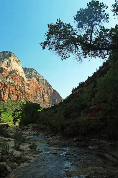 Virgin River Flowing Mountains Zion National Park Utah — Stock Photo, Image