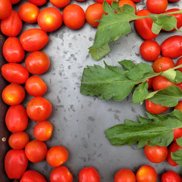 Kerstomaten Met Roma Tomaten Een Grijze Achtergrond Met Kopieerruimte — Stockfoto
