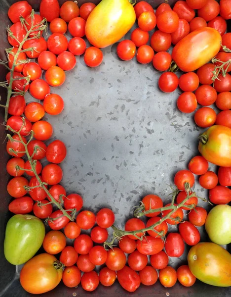 Körsbärstomater Med Romska Tomater Grå Bakgrund Med Kopieringsutrymme — Stockfoto