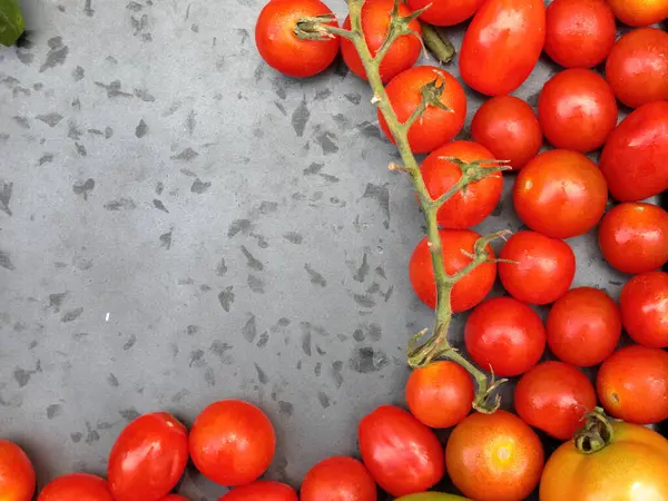 Tomates Cerises Aux Tomates Roma Sur Fond Gris Avec Espace — Photo