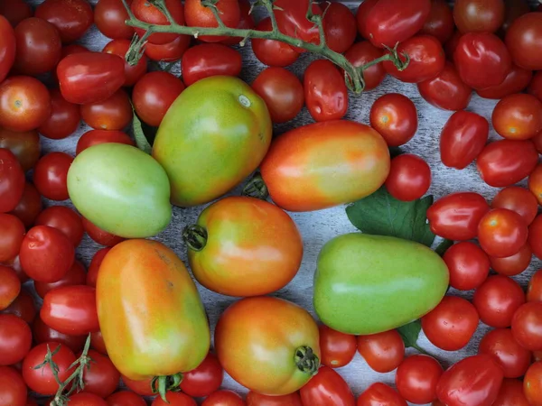 Ντομάτες Cherry Ντομάτες Roma Γκρι Φόντο Γεμίζοντας Πλαίσιο — Φωτογραφία Αρχείου