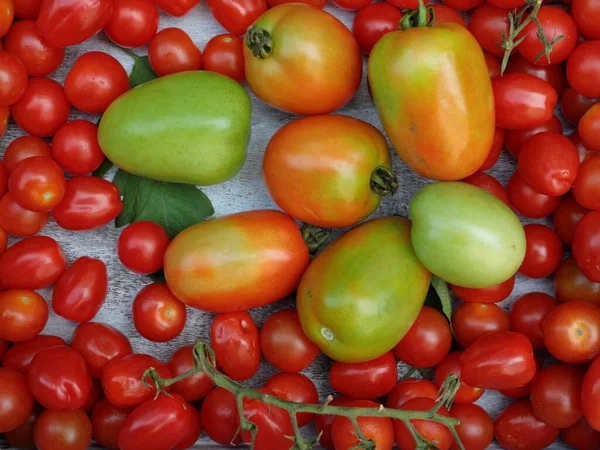 Ντομάτες Cherry Ντομάτες Roma Γκρι Φόντο Γεμίζοντας Πλαίσιο — Φωτογραφία Αρχείου