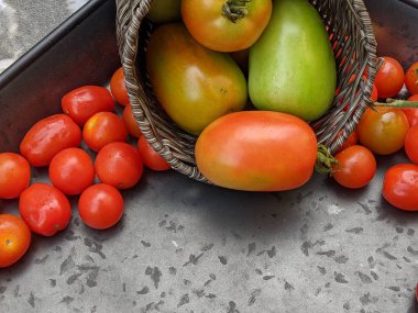 Çeşitli ev yapımı kırmızı domatesler ahşap bir arka planda fotokopi alanı ile.