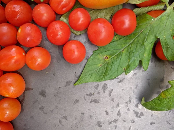 Eine Vielzahl Hausgemachter Roter Tomaten Auf Einem Hölzernen Hintergrund Mit — Stockfoto