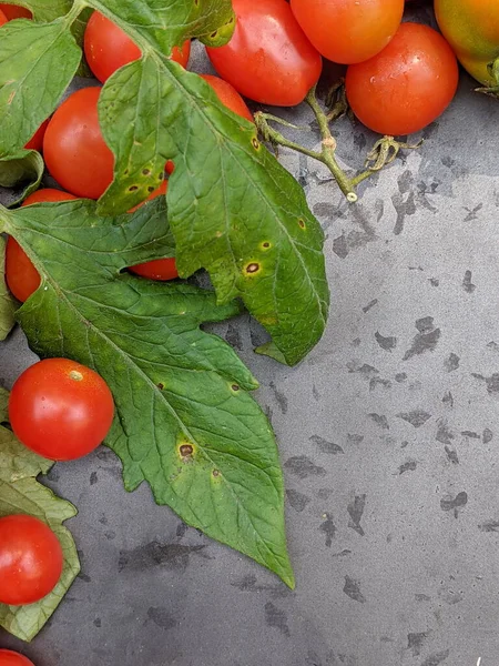 Eine Vielzahl Hausgemachter Roter Tomaten Auf Einem Hölzernen Hintergrund Mit — Stockfoto