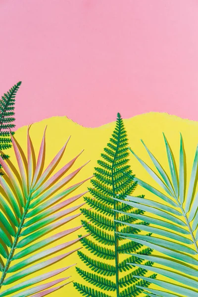 Tropical fern and palm leaves branches on pink and yellow torn paper background. Vertical summer theme concept with empty space for text