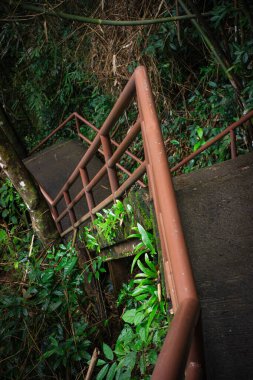 Haew Narok Şelalesi, Khao Yai 'ye giden yolda sık ormanlarla çevrili paslı parmaklıkları olan beton merdiven. Doğa, seyahat veya eko-turizm temaları için ideal.