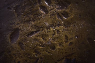 Soyut pirinç yüzeyine yakın plan çizikler, göçükler ve metalik doku. Arkaplan, endüstriyel tasarım, materyal çalışmaları veya sanatsal kompozisyonlar için ideal.