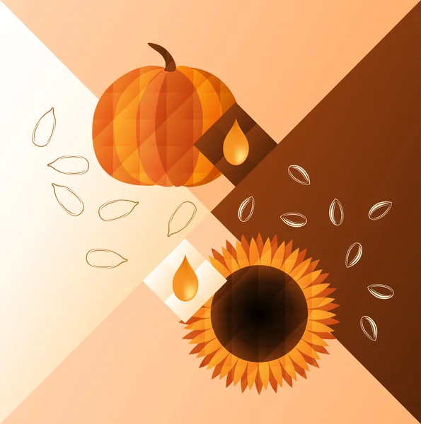 kabak ve ayçiçeği