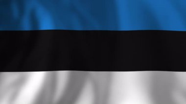 Estonya ulusal bayrağı, tarafsız arkaplanda hafifçe dalgalanıyor, çoklu dinamik çekimler sunuyor ulusal gurur ve egemen kimliği yakalıyor