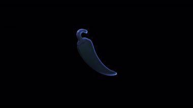 Koyu arkaplanda dönen holografik kırmızı biber, pürüzsüz dijital animasyonla canlı yanardöner renk spektrumunda dönüşüyor