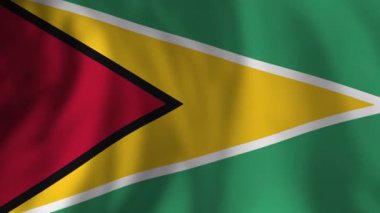 Ulusal Guyana bayrağı hafif arka planda sallanıyor, ulusal gurur ve bağımsızlığı simgeliyor pürüzsüz, ritmik hareketlerle canlı renklerle