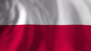 Gerçekçi ulusal Polonya bayrağı rüzgarda dalgalanıyor. Güzel bir ipek arka plan dokusu, gurur, vatanseverlik ve ulusal kimliği gösteriyor.
