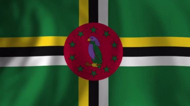 Dominica 'nın ulusal bayrağı rüzgarda sallanıyor. Kırmızı papağan, ulusal kuş, bayrağın merkezinde yer alır.