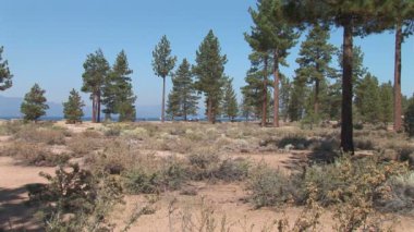 Nevada Beach Park zemin