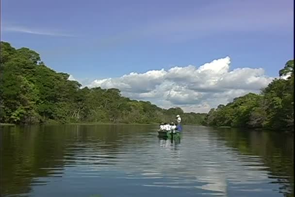 Barco nada no rio da selva — Vídeo de Stock