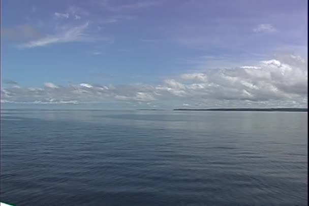 Rivière Rio Negro — Video