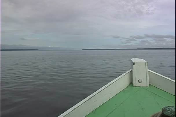 Barco nada en el río — Vídeo de stock