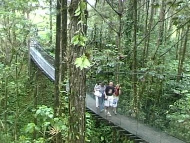 Asma köprü üzerinde yürüyen turist