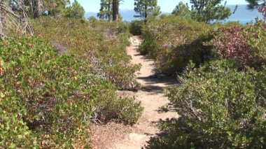 Yürüyüş yolu üzerinde Lake Tahoe
