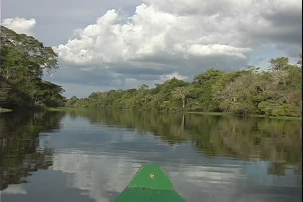 Blick auf den Dschungel von einer Bootstour auf dem Fluss — Stockvideo