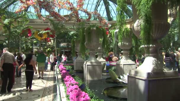 Arboretum inside Bellagio hotel — Stock Video