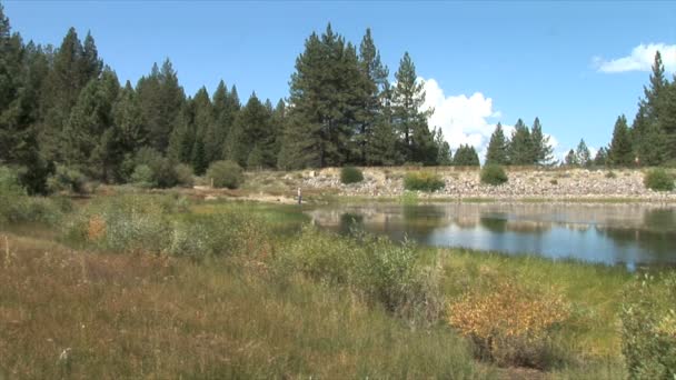 Lac dans une journée ensoleillée — Video