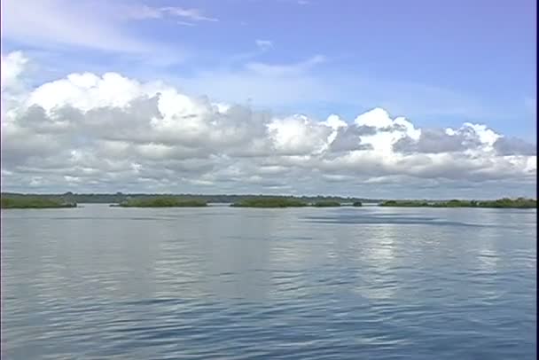 Isla tropical en el río — Vídeos de Stock