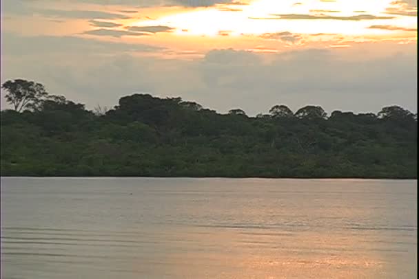 Ποταμού στη ζούγκλα στο ηλιοβασίλεμα — Αρχείο Βίντεο