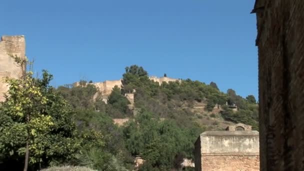 Castello di Gibralfaro da Alcazaba — Video Stock