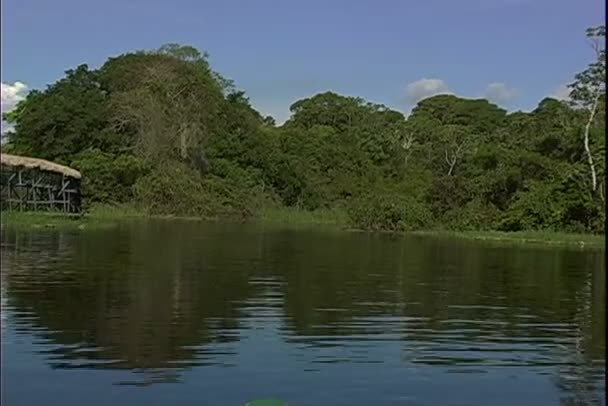 Amazonas Nehri üzerinde tekne rides — Stok video