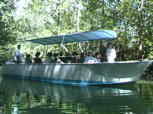 Tour en bateau sur la rivière tropicale — Video