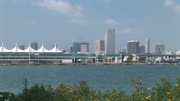 View of Miami city — Stock Video