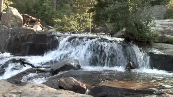 Pequeno córrego no Lago Tahoe — Vídeo de Stock