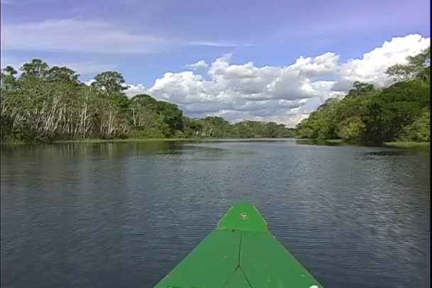 Vista de la selva desde un paseo en barco por el río — Vídeo de stock