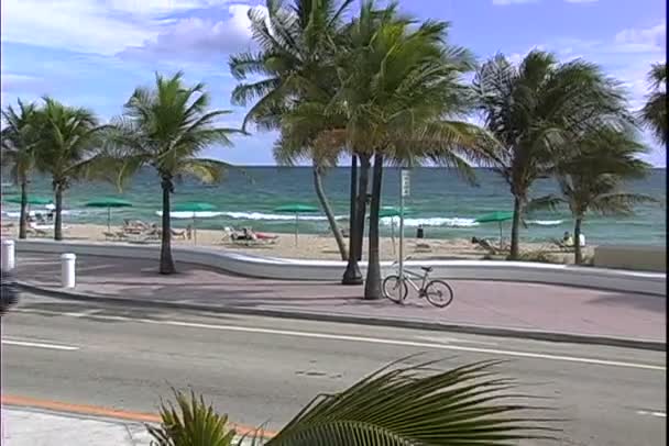 Street Traffic near beach in Miami — Stock Video