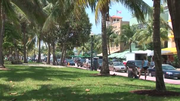 South Beach Park i Miami — Stockvideo