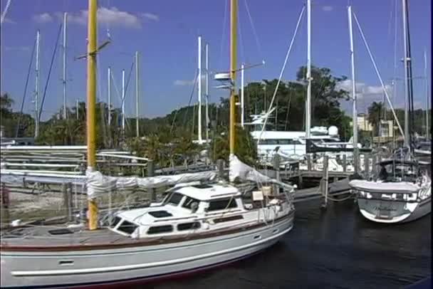 Лодки гавани Майами — стоковое видео