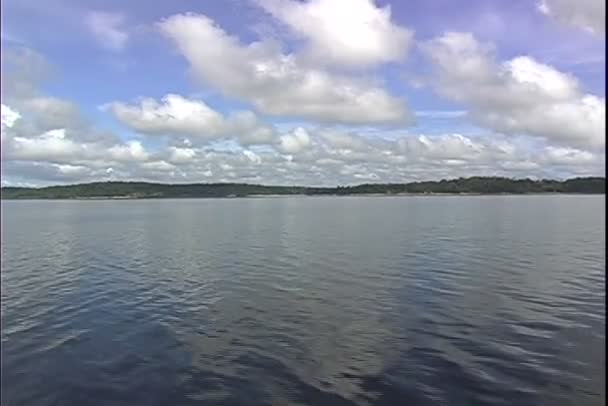 里约尼格罗河 — 图库视频影像