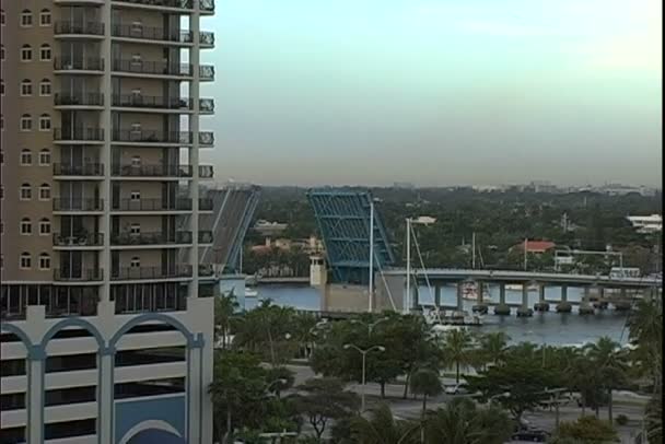 Strandbrücke in Miami — Stockvideo